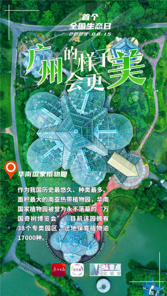 新澳传真内部资料