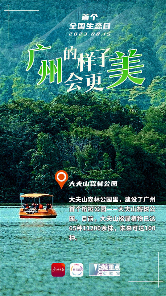 新澳传真内部资料