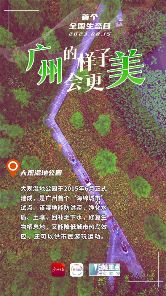 新澳传真内部资料