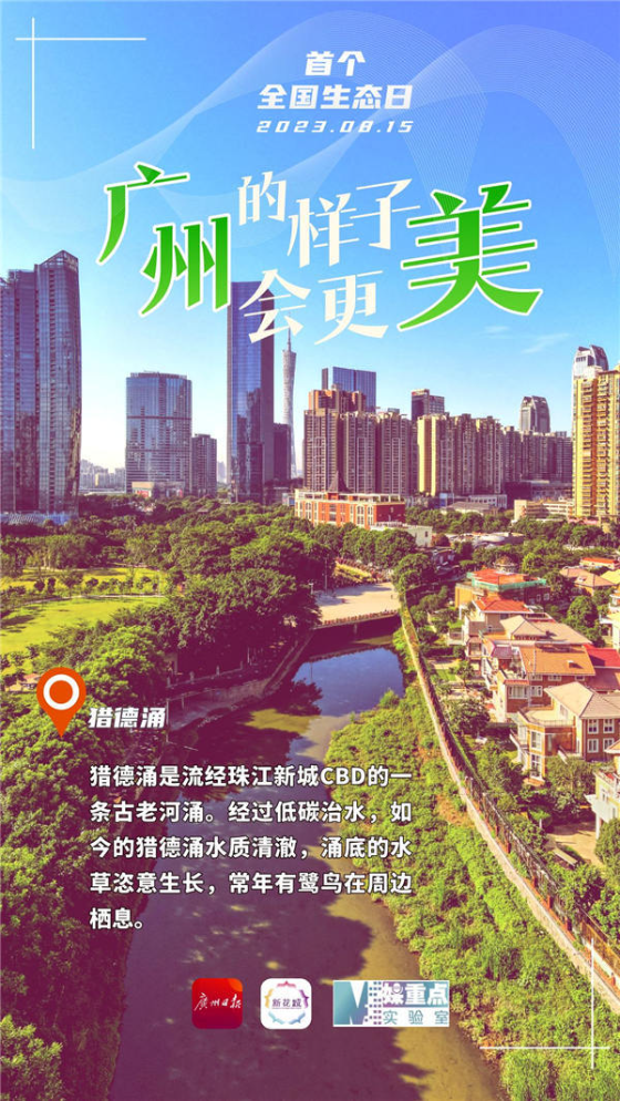 新澳传真内部资料